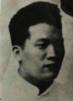 杜涛明星,闪耀星途，璀璨人生